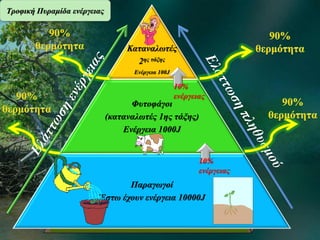Καταναλωτές
2ης τάξης
Ενέργεια 100J
Φυτοφάγοι
(καταναλωτές 1ης τάξης)
Ενέργεια 1000J
Παραγωγοί
Έστω έχουν ενέργεια 10000J
Τροφική Πυραμίδα ενέργειας
10%
ενέργειας
10%
ενέργειας
 