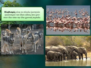 Πληθυσμός είναι το σύνολο ζωντανών
οργανισμών του ίδιου είδους που ζουν
στον ίδιο τόπο την ίδια χρονική περίοδο.
 