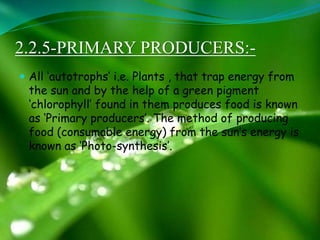 2.2.5-PRIMARY PRODUCERS:-
 All ‘autotrophs’ i.e. Plants , that trap energy from
the sun and by the help of a green pigment
‘chlorophyll’ found in them produces food is known
as ‘Primary producers’. The method of producing
food (consumable energy) from the sun’s energy is
known as ‘Photo-synthesis’.
 
