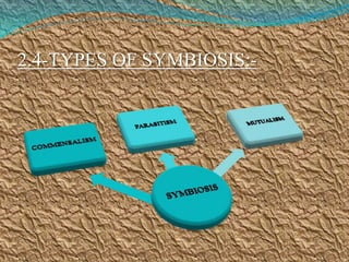 2.4-TYPES OF SYMBIOSIS:-
 