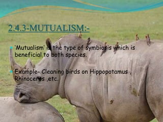 2.4.3-MUTUALISM:-
 ‘Mutualism’ is the type of symbiosis which is
beneficial to both species.
 Example- Cleaning birds on Hippopotamus ,
Rhinoceros ,etc.
 