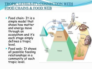 TROPIC LEVELS-IT’s CONNECTION WITH
FOOD CHAINS & FOOD WEB
 Food chain- It is a
simple model that
shows how matter
and energy move
through an
ecosystem and it’s
each stage simply
defines a tropic
level.
 Food web- It shows
all possible feeding
relationships in a
community at each
tropic level.
 