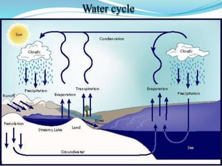 Water cycle
 