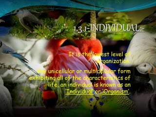 It is the lowest level of
organization.
Any unicellular or multicellular form
exhibiting all of the characteristics of
life, an individual is known as an
‘Individual’ or ‘Organism’.
 