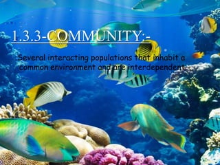 1.3.3-COMMUNITY:-
Several interacting populations that inhabit a
common environment and are interdependent.
 