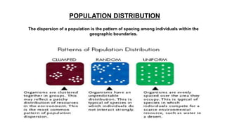 Ecology | PPTX | Geography | Science