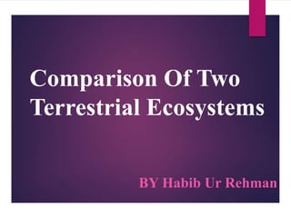 Comparison Of Two
Terrestrial Ecosystems
BY Habib Ur Rehman
 