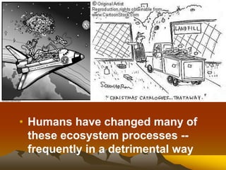 • Humans have changed many of
these ecosystem processes --
frequently in a detrimental way
 
