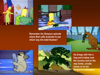 Remember the Simpson episode
where Bart calls Australia to see
which way the toilet flushes?
He brings with him a
frog and it takes over
the country and on the
way home, a koala
hands on to the
Simpson’s helicopter!
 