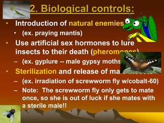 2. Biological controls:
• Introduction of natural enemies
• (ex. praying mantis)
• Use artificial sex hormones to lure
insects to their death (pheromones)
– (ex. gyplure -- male gypsy moths)
• Sterilization and release of male insects
– (ex. irradiation of screwworm fly w/cobalt-60)
– Note: The screwworm fly only gets to mate
once, so she is out of luck if she mates with
a sterile male!!
 