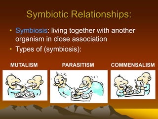 Symbiotic Relationships:
• Symbiosis: living together with another
organism in close association
• Types of (symbiosis):
MUTALISM PARASITISM COMMENSALISM
 