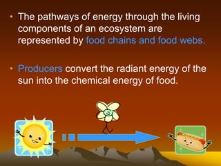 • The pathways of energy through the living
components of an ecosystem are
represented by food chains and food webs.
• Producers convert the radiant energy of the
sun into the chemical energy of food.
 