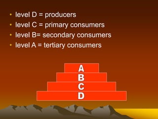 • level D = producers
• level C = primary consumers
• level B= secondary consumers
• level A = tertiary consumers
 