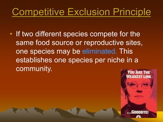 Competitive Exclusion Principle
• If two different species compete for the
same food source or reproductive sites,
one species may be eliminated. This
establishes one species per niche in a
community.
 