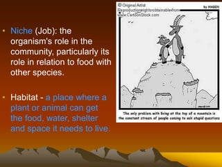 • Niche (Job): the
organism's role in the
community, particularly its
role in relation to food with
other species.
• Habitat - a place where a
plant or animal can get
the food, water, shelter
and space it needs to live.
 