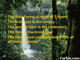Rain Forest
• The Rain Forest is made of 3 layers
• The first layer is the canopy
• The second layer is the understory
• The third is the forest floor
• The Rain Forest contains about 45% of
all animal species
 
