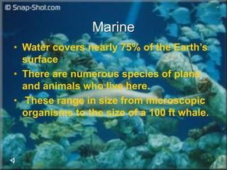 Marine
• Water covers nearly 75% of the Earth’s
surface
• There are numerous species of plans
and animals who live here.
• These range in size from microscopic
organisms to the size of a 100 ft whale.
 