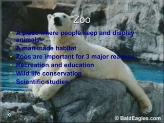 Zoo
• A place where people keep and display
animals
• A man made habitat
• Zoos are important for 3 major reasons
• Recreation and education
• Wild life conservation
• Scientific studies
 
