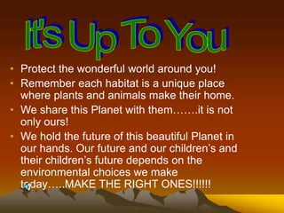 • Protect the wonderful world around you!
• Remember each habitat is a unique place
where plants and animals make their home.
• We share this Planet with them…….it is not
only ours!
• We hold the future of this beautiful Planet in
our hands. Our future and our children’s and
their children’s future depends on the
environmental choices we make
today…..MAKE THE RIGHT ONES!!!!!!
 