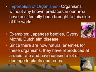 • Importation of Organisms - Organisms
without any known predators in our area
have accidentally been brought to this side
of the world.
• Examples: Japanese beetles, Gypsy
Moths, Dutch elm disease.
• Since there are now natural enemies for
these organisms, they have reproduced at
a rapid rate and have caused a lot of
damage to plants and crops.
 