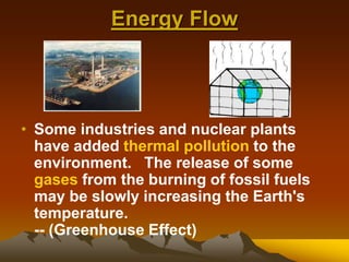 Energy Flow
• Some industries and nuclear plants
have added thermal pollution to the
environment. The release of some
gases from the burning of fossil fuels
may be slowly increasing the Earth's
temperature.
-- (Greenhouse Effect)
 
