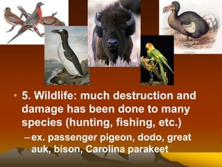 • 5. Wildlife: much destruction and
damage has been done to many
species (hunting, fishing, etc.)
–ex. passenger pigeon, dodo, great
auk, bison, Carolina parakeet
 