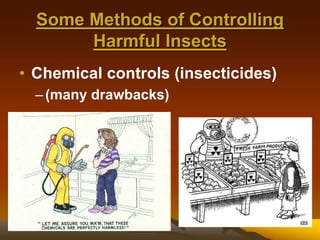 Some Methods of Controlling
Harmful Insects
• Chemical controls (insecticides)
–(many drawbacks)
 