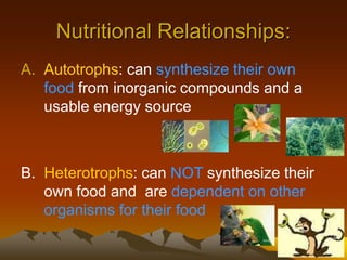 Nutritional Relationships:
A. Autotrophs: can synthesize their own
food from inorganic compounds and a
usable energy source
B. Heterotrophs: can NOT synthesize their
own food and are dependent on other
organisms for their food
 