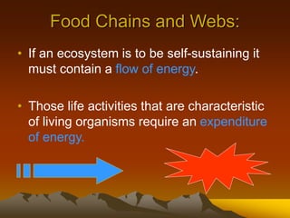 Food Chains and Webs:
• If an ecosystem is to be self-sustaining it
must contain a flow of energy.
• Those life activities that are characteristic
of living organisms require an expenditure
of energy.
 