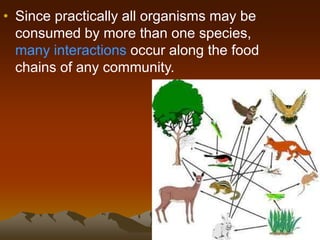 • Since practically all organisms may be
consumed by more than one species,
many interactions occur along the food
chains of any community.
 