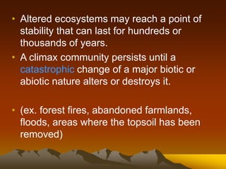 • Altered ecosystems may reach a point of
stability that can last for hundreds or
thousands of years.
• A climax community persists until a
catastrophic change of a major biotic or
abiotic nature alters or destroys it.
• (ex. forest fires, abandoned farmlands,
floods, areas where the topsoil has been
removed)
 