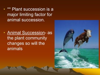 • ** Plant succession is a
major limiting factor for
animal succession.
• Animal Succession- as
the plant community
changes so will the
animals
 
