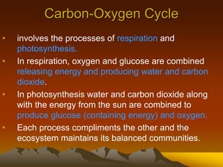 Carbon-Oxygen Cycle
• involves the processes of respiration and
photosynthesis.
• In respiration, oxygen and glucose are combined
releasing energy and producing water and carbon
dioxide.
• In photosynthesis water and carbon dioxide along
with the energy from the sun are combined to
produce glucose (containing energy) and oxygen.
• Each process compliments the other and the
ecosystem maintains its balanced communities.
 