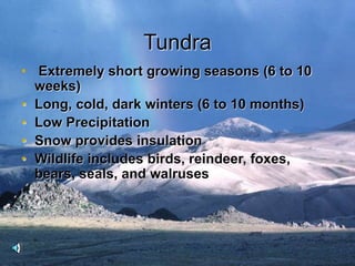 Tundra
• Extremely short growing seasons (6 to 10
weeks)
• Long, cold, dark winters (6 to 10 months)
• Low Precipitation
• Snow provides insulation
• Wildlife includes birds, reindeer, foxes,
bears, seals, and walruses
 