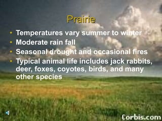 Prairie
• Temperatures vary summer to winter
• Moderate rain fall
• Seasonal drought and occasional fires
• Typical animal life includes jack rabbits,
deer, foxes, coyotes, birds, and many
other species
 