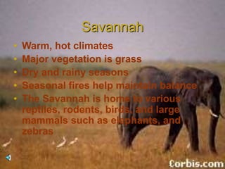 Savannah
• Warm, hot climates
• Major vegetation is grass
• Dry and rainy seasons
• Seasonal fires help maintain balance
• The Savannah is home to various
reptiles, rodents, birds, and large
mammals such as elephants, and
zebras
 