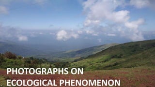PHOTOGRAPHS ON
ECOLOGICAL PHENOMENON
 