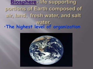 •The highest level of organization
 