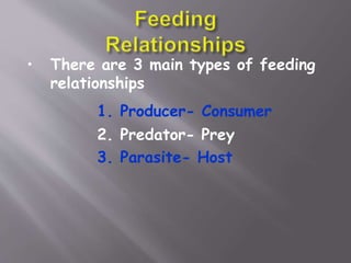 • There are 3 main types of feeding
relationships
1. Producer- Consumer
2. Predator- Prey
3. Parasite- Host
 