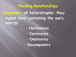 Feeding Relationships
Consumer- all heterotrophs: they
ingest food containing the sun’s
energy
• Herbivores
• Carnivores
• Omnivores
• Decomposers
 