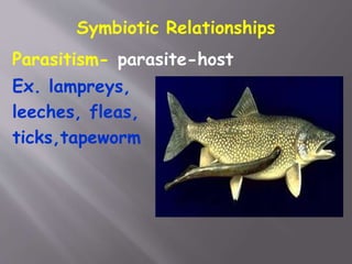 Symbiotic Relationships
Parasitism- parasite-host
Ex. lampreys,
leeches, fleas,
ticks,tapeworm
 