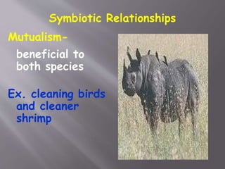 Symbiotic Relationships
Mutualism-
beneficial to
both species
Ex. cleaning birds
and cleaner
shrimp
 
