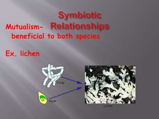Mutualism-
beneficial to both species
Ex. lichen
 