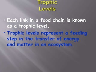 • Each link in a food chain is known
as a trophic level.
• Trophic levels represent a feeding
step in the transfer of energy
and matter in an ecosystem.
 