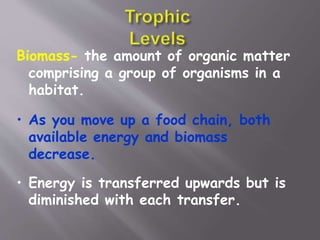Biomass- the amount of organic matter
comprising a group of organisms in a
habitat.
• As you move up a food chain, both
available energy and biomass
decrease.
• Energy is transferred upwards but is
diminished with each transfer.
 