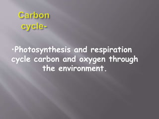 •Photosynthesis and respiration
cycle carbon and oxygen through
the environment.
 