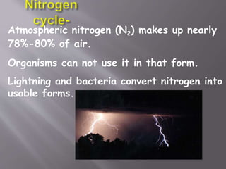Atmospheric nitrogen (N2) makes up nearly
78%-80% of air.
Organisms can not use it in that form.
Lightning and bacteria convert nitrogen into
usable forms.
 