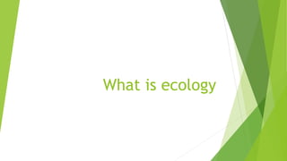 What is ecology
 