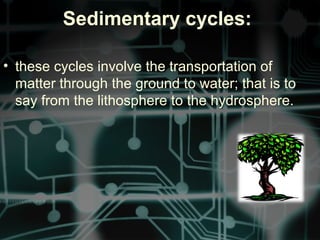 Sedimentary cycles:
• these cycles involve the transportation of
matter through the ground to water; that is to
say from the lithosphere to the hydrosphere.
 