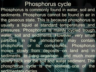 Phosphorus cycle
Phosphorus is commonly found in water, soil and
sediments. Phosphorus cannot be found in air in
the gaseous state. This is because phosphorus is
usually a liquid at standard temperatures and
pressures. Phosphorus is mainly cycled trough
water, soil and sediments. However, very small
particles in the atmosphere may contain
phosphorus or its compounds. Phosphorus
moves slowly from deposits on land and in
sediments, to living organism , and much more
slowly back into the soil and water sediment. The
phosphorus cycle is the slowest one of the
 